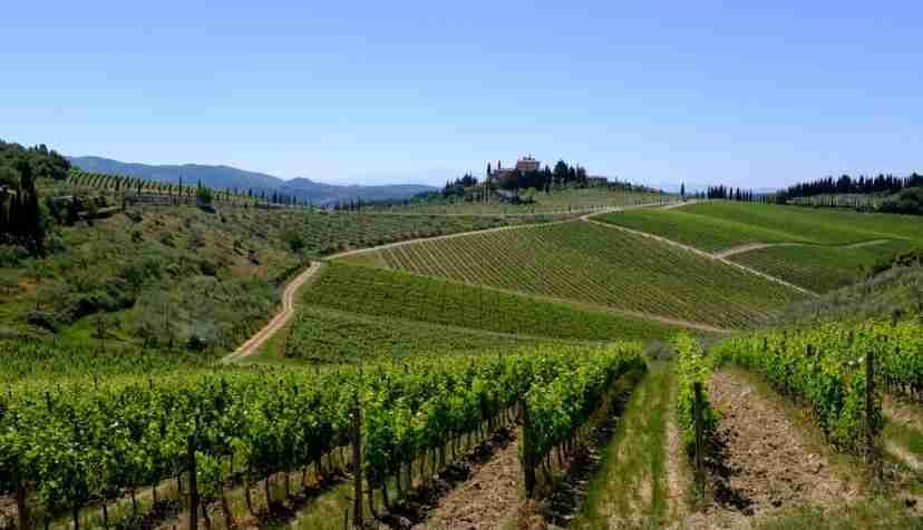 chianti wine tour from florence