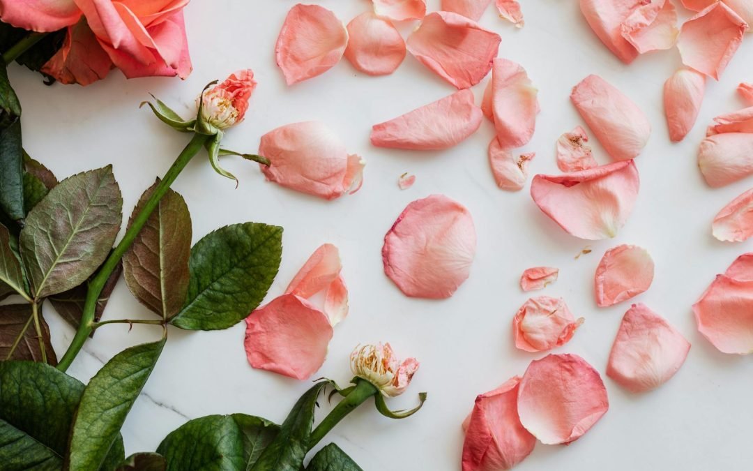 Heartbreak and Hope: A Tale of Love Lost and Found