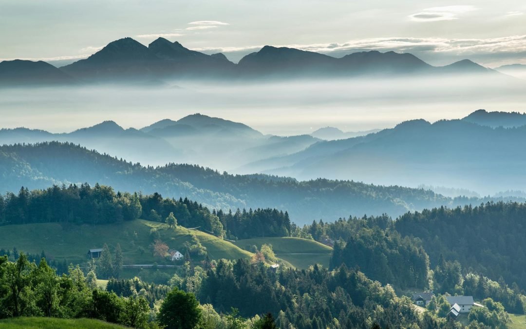 Mountainous valley with evergreen forest against misty sky