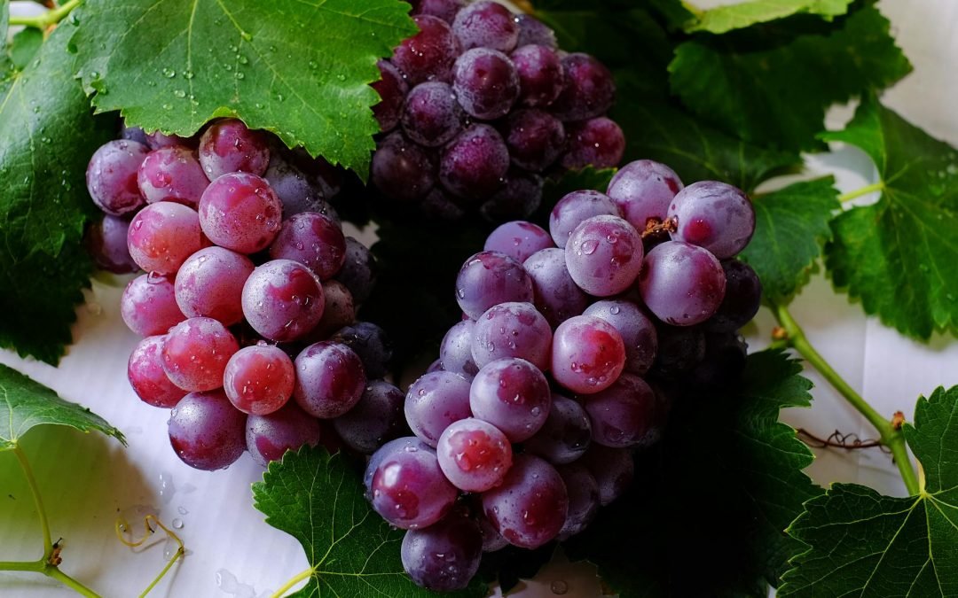 Grape Fruits