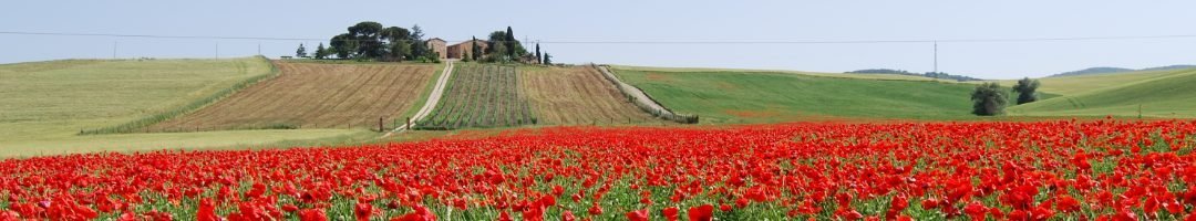 Val d’Orcia: Three Renaissance Gems in Southern Tuscany