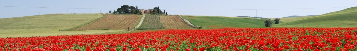 Val d'Orcia countryside landscape in southern Tuscany